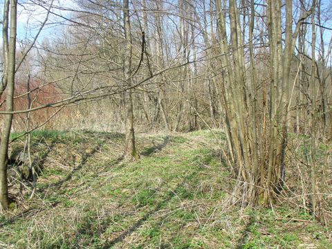 Foto 19